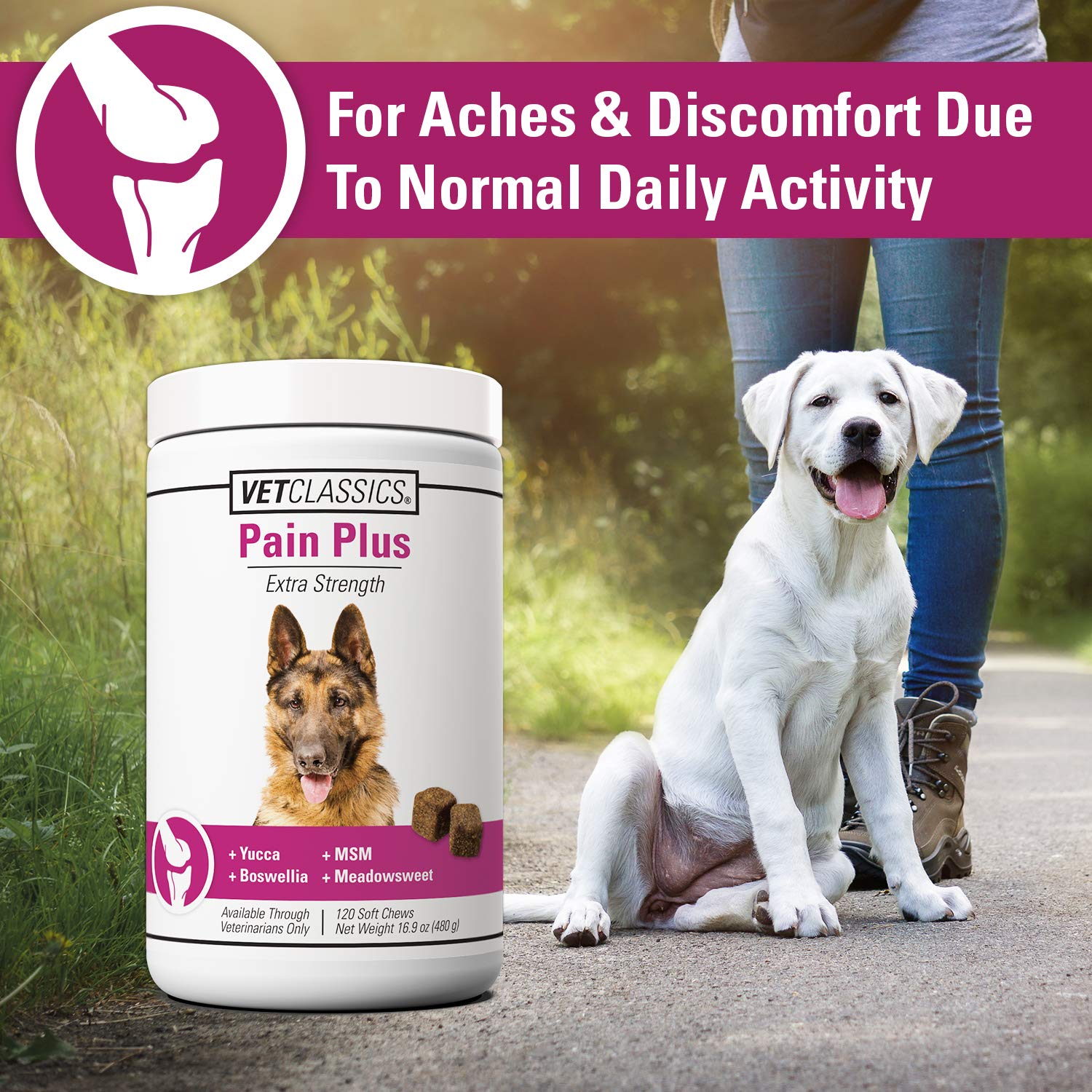 Packaging of Vet Classics Pain Plus soft chews with herbal ingredients highlighted.