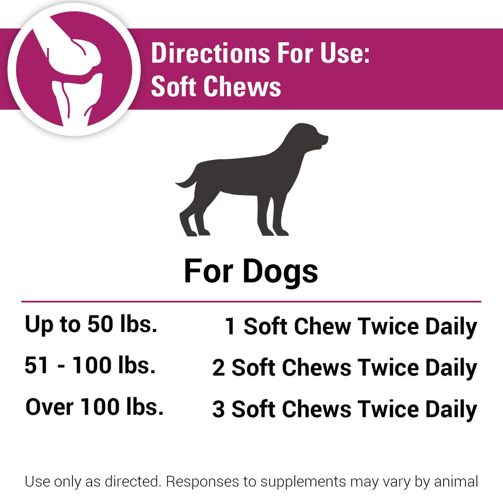 Store display of Vet Classics Pain Plus soft chews for easy purchase.