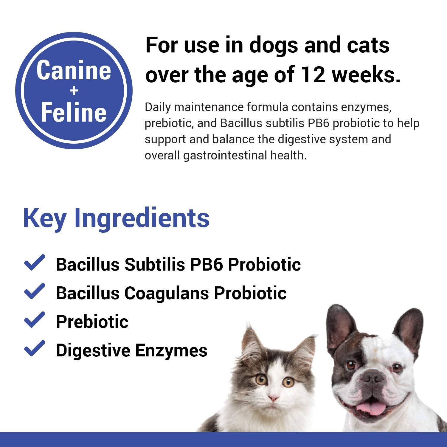 Protegrity EZ probiotic powder offers easy daily dosing for pets