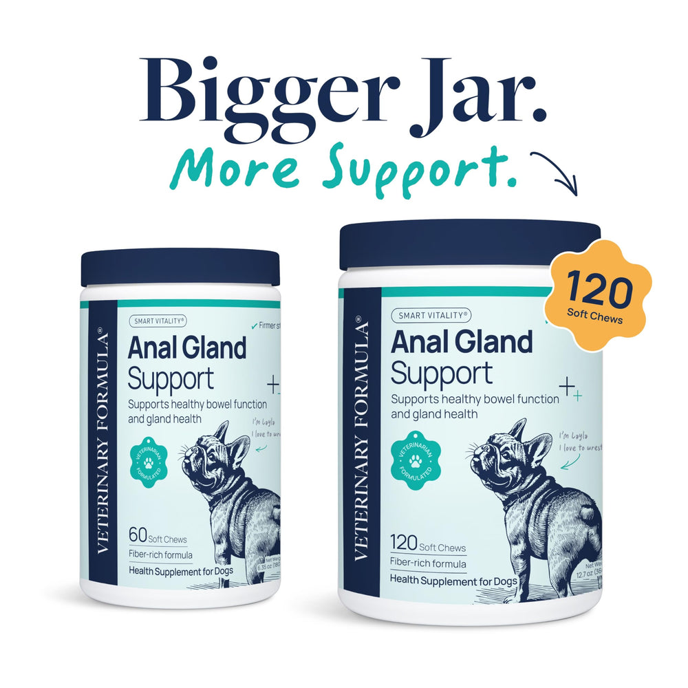 Veterinary Formula Anal Gland Support bottle shown with chews for daily canine supplement.