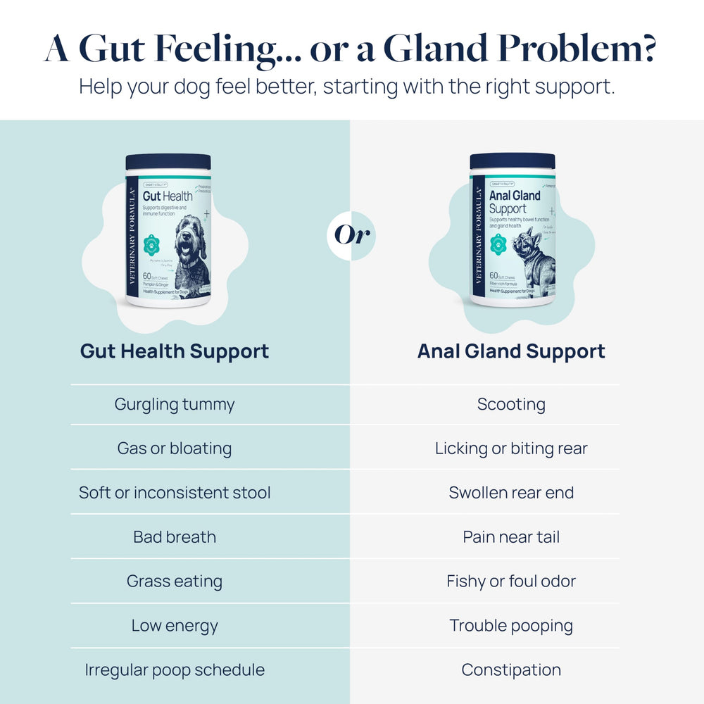 Veterinary Formula Anal Gland Support probiotics inulin blend highlights gut wellness.