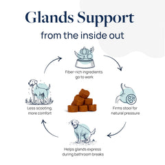 Veterinary Formula Anal Gland Support pumpkin ginger blend illustrates gut comfort.