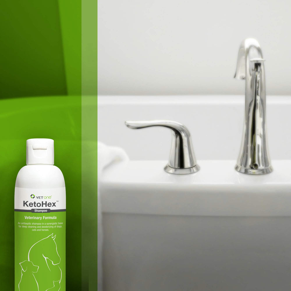 Foamy lather from Vet One dog allergy shampoo during bath