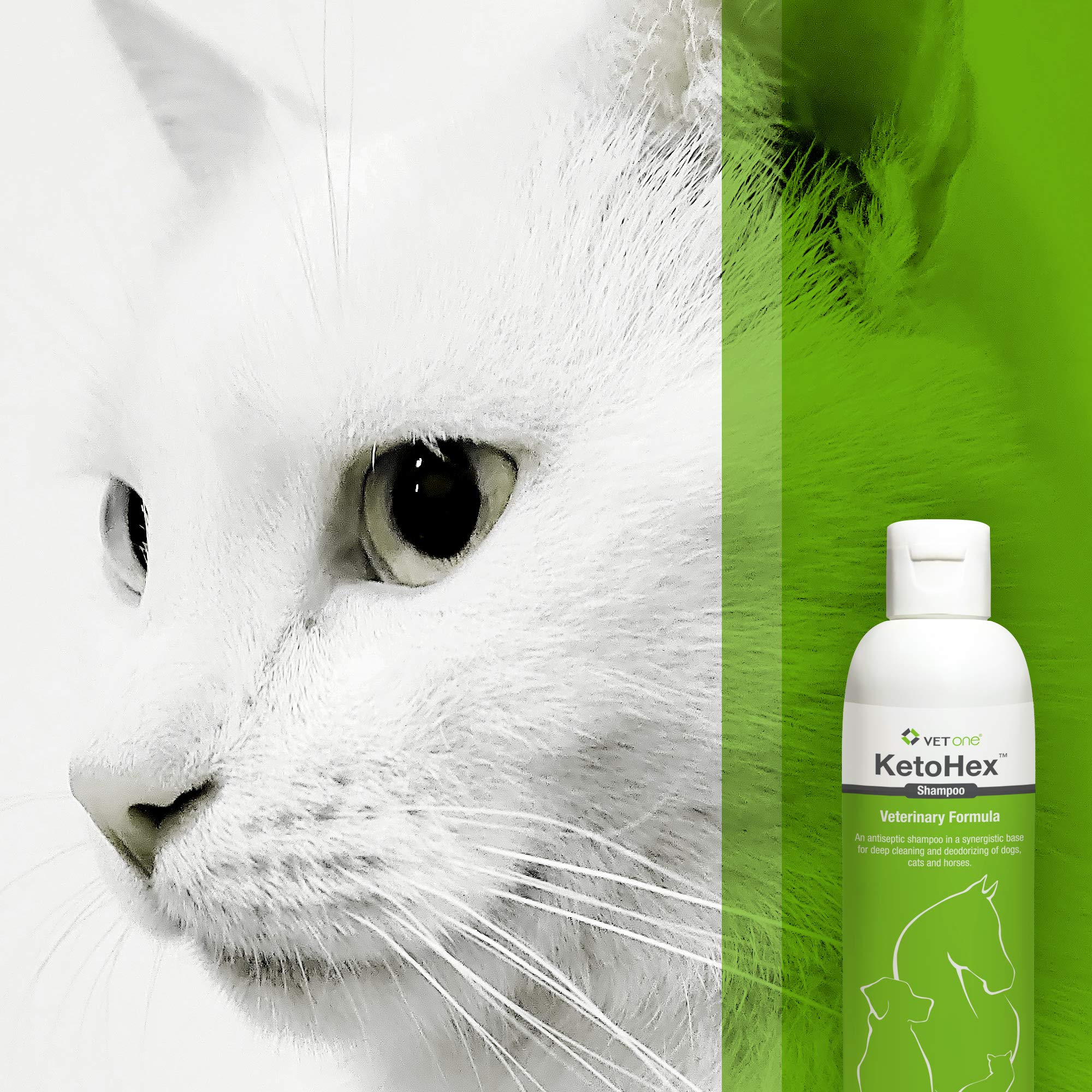 Ingredients label on Vet One dog allergy shampoo