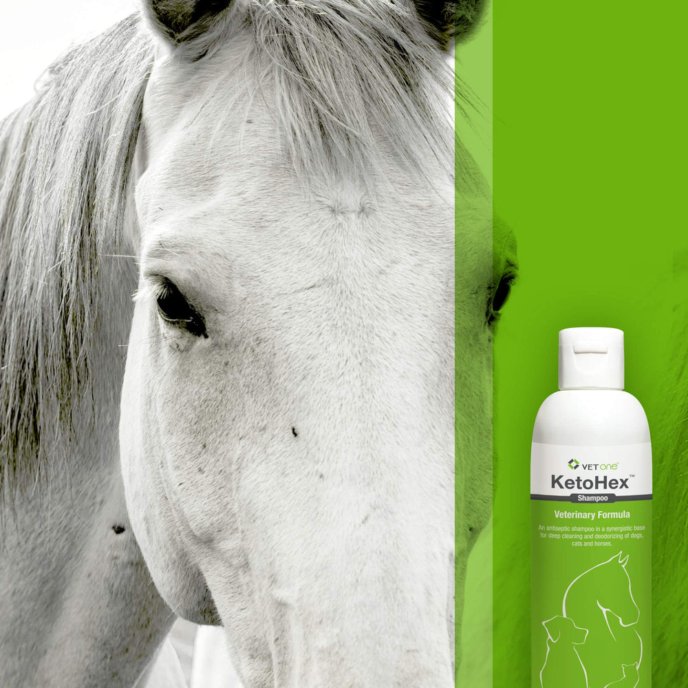 Packaging artwork of Vet One dog allergy shampoo