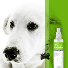 Vet One Ketohex Spray dispense demonstrates smooth, controlled spray action.