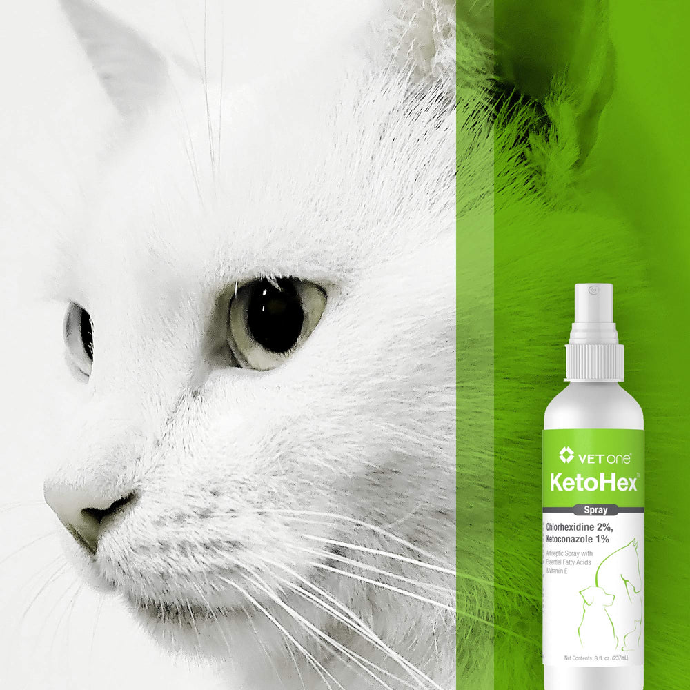 Vet One Ketohex Spray mist application shows easy, even coverage.