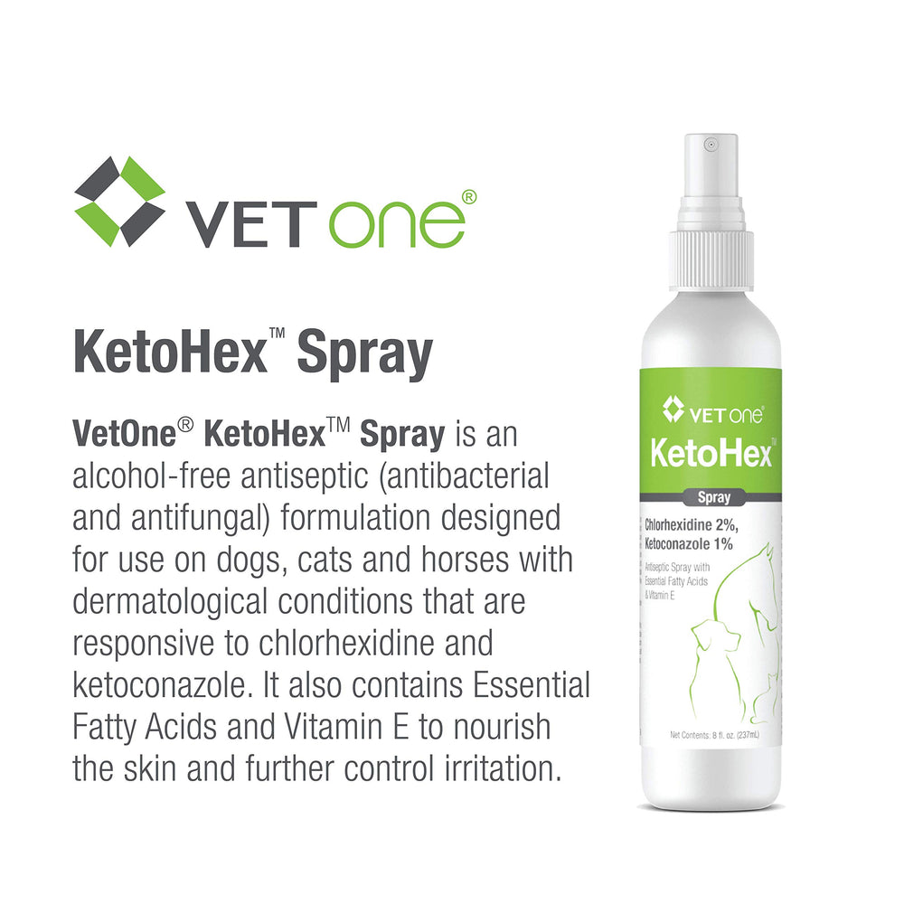 Vet One Ketohex Spray nose-area view suggests quick grooming routines.