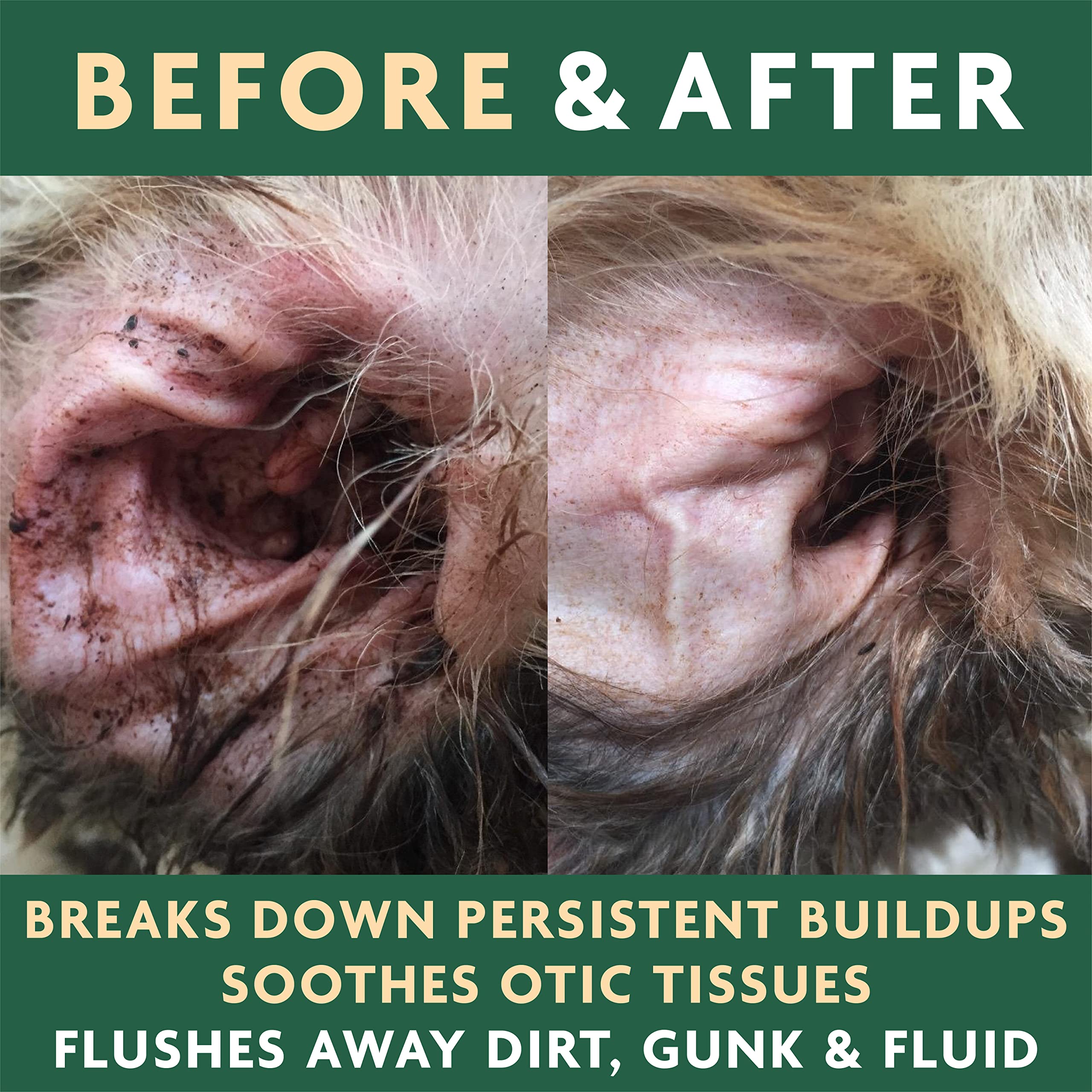 Dog ear clean after use signals calm, clean ears with less odor.