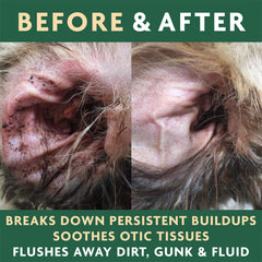 Dog ear clean after use signals calm, clean ears with less odor.