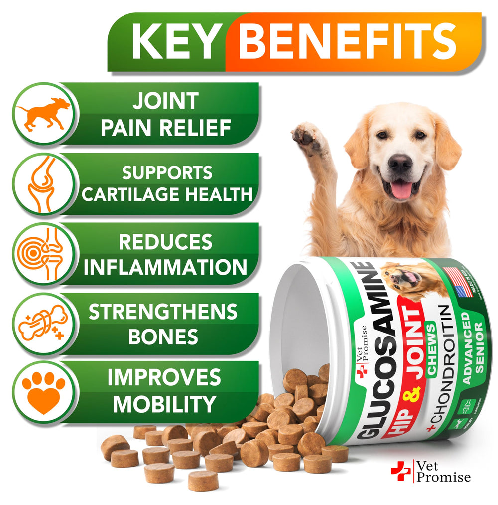 Vet Promise Advanced Glucosamine chews closeup reveals soft chewy texture for dogs