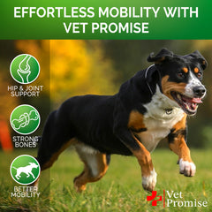 Vet Promise Advanced Glucosamine chews serving demonstrates daily use for mobility