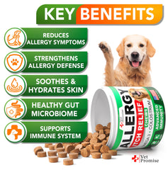 Vet Promise Dog Allergy Relief Chews bottle back label highlights ingredients for skin support.