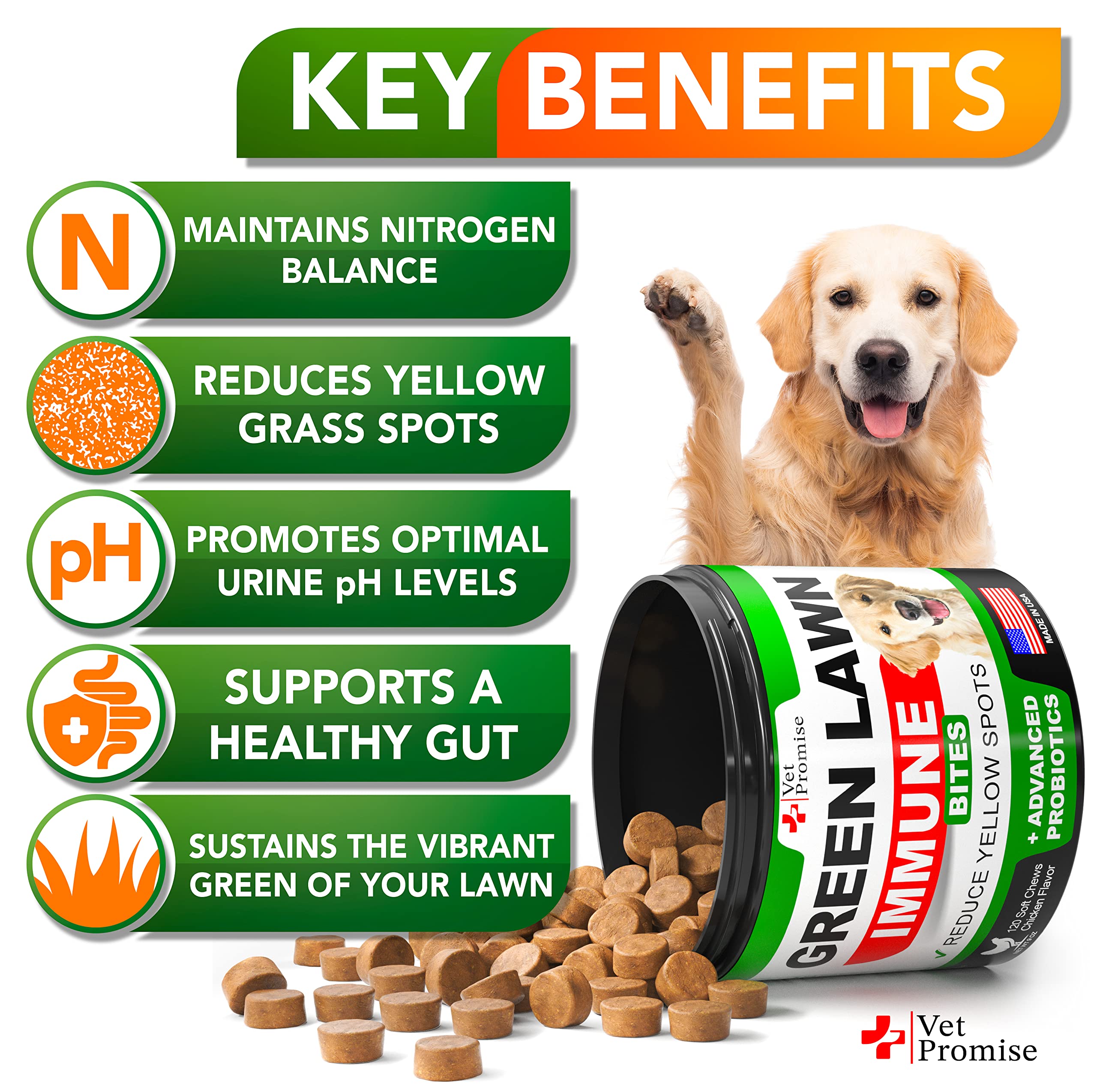 Vet Promise dog chewing near a lush lawn with fewer grass spots.