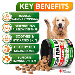 Vet Promise chews in serving bowl illustrate convenient daily treat for itchy skin.