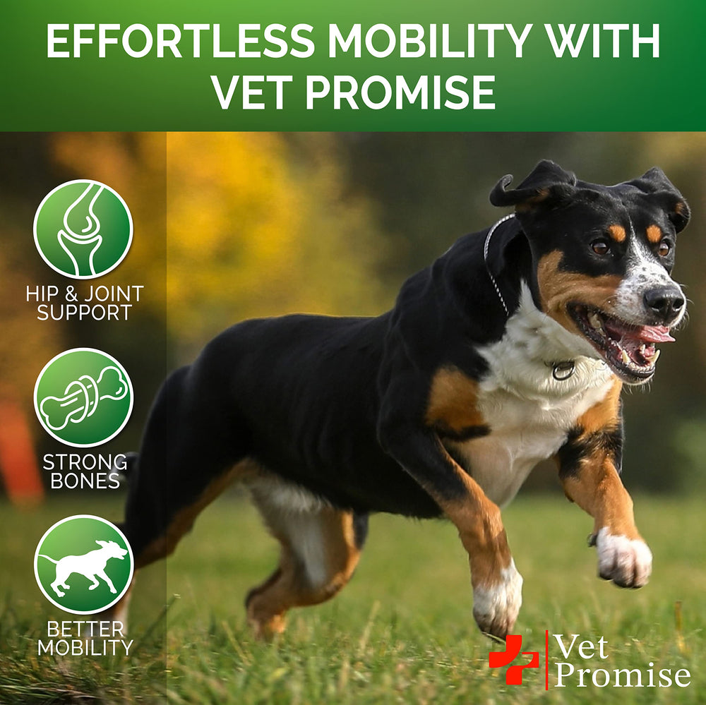 Vet Promise label close-up highlights premium ingredients and USA-made quality