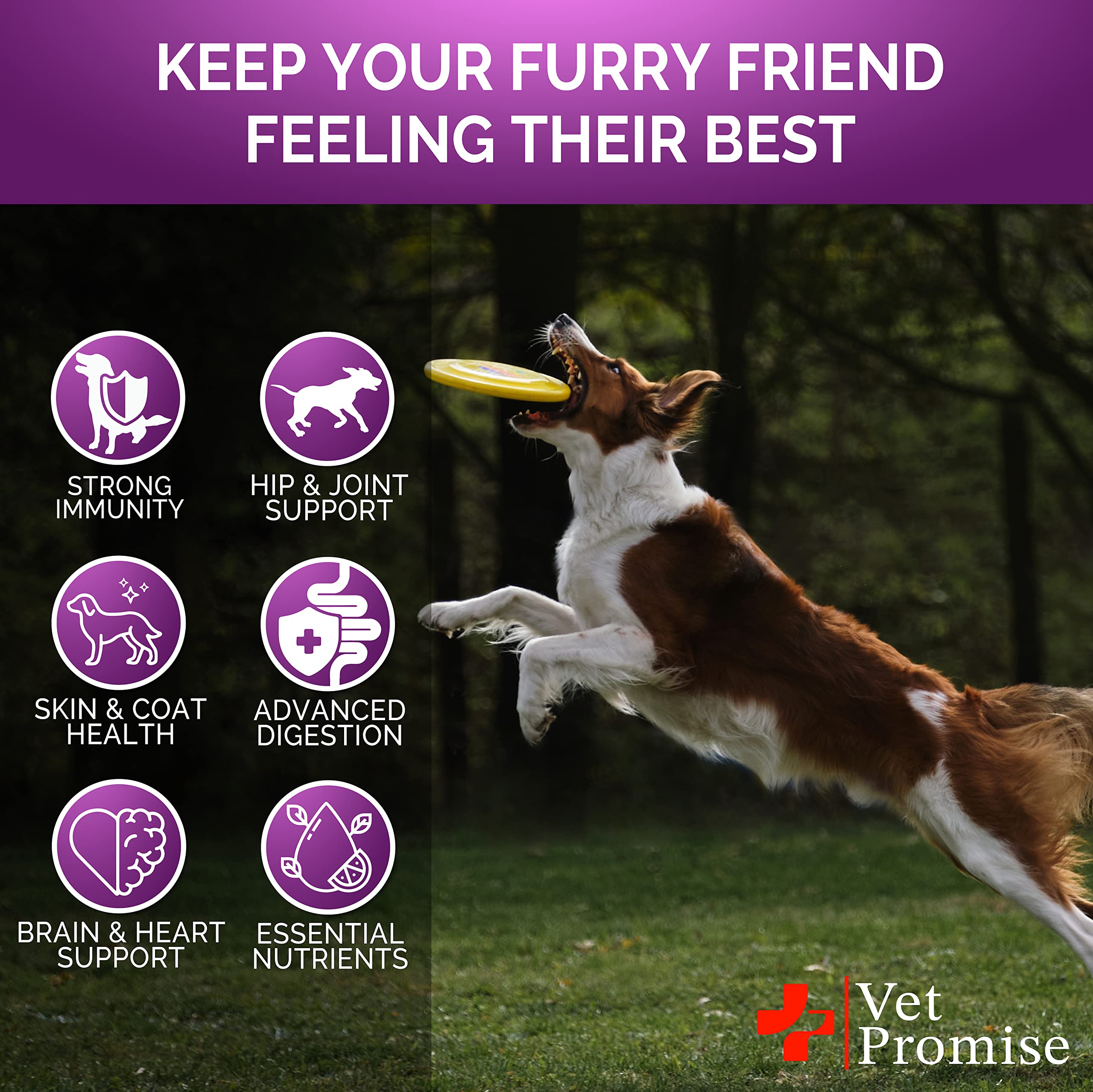 Vet Promise dog multivitamin packaging spine displays USA-made vet-formulated assurance