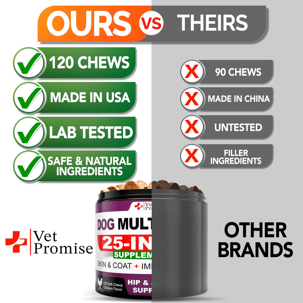 Vet Promise dog multivitamin serving dish presents daily energy chewables