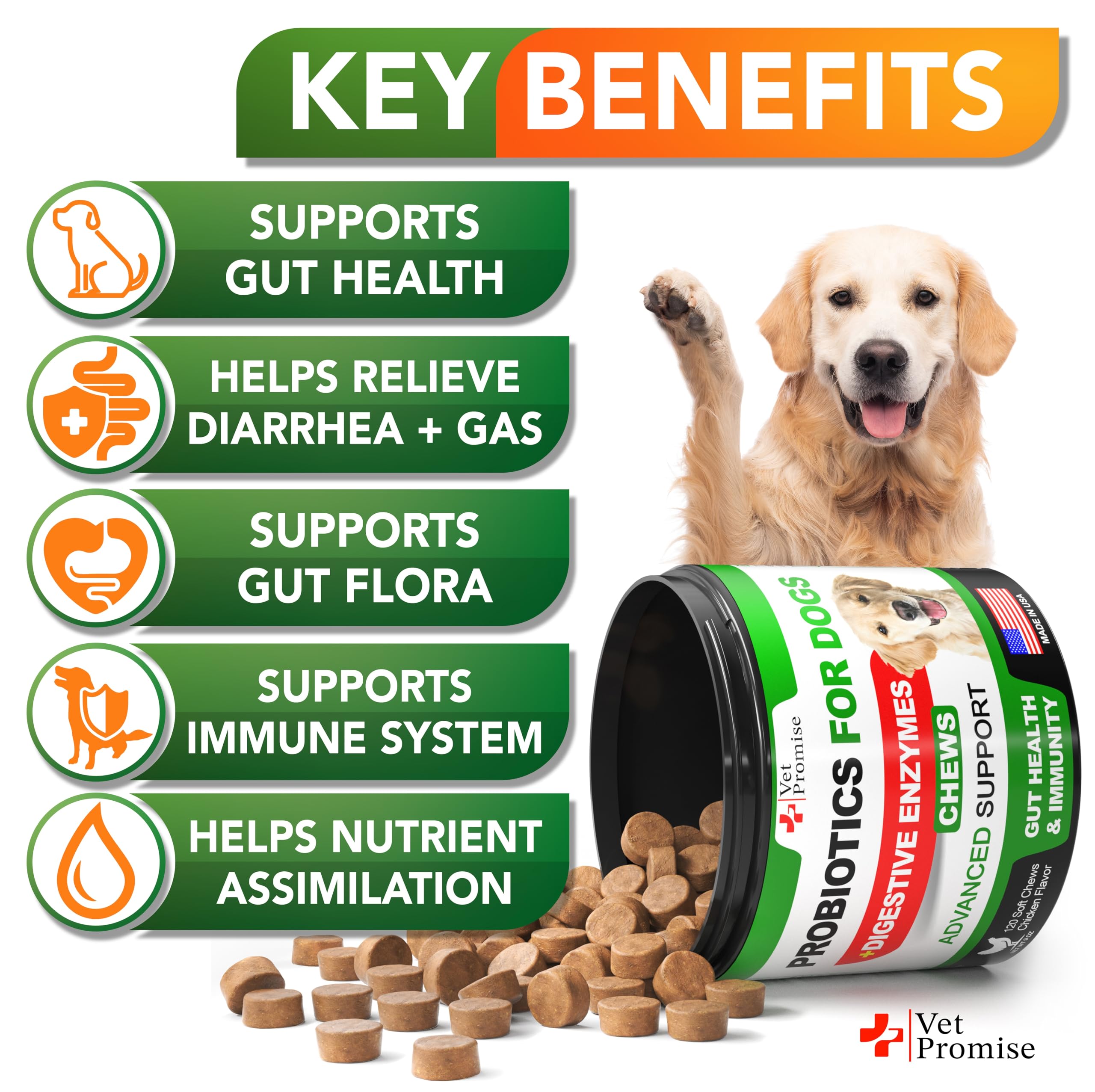 Vet Promise dog probiotics chews serving dish highlights easy dose and digestion aid