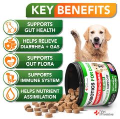 Vet Promise dog probiotics chews serving dish highlights easy dose and digestion aid