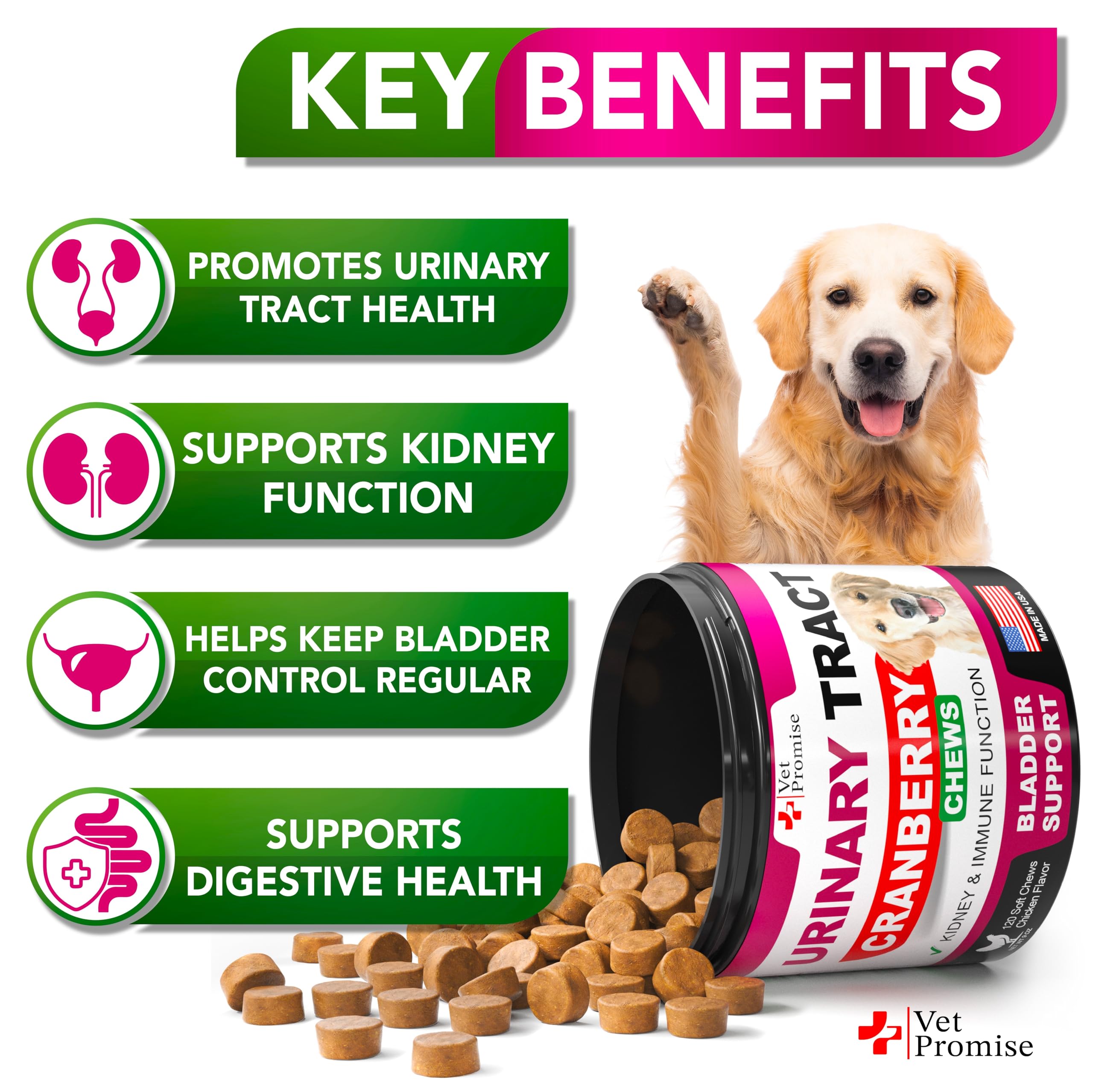 Vet Promise Dog UTI Chews in a bowl illustrating daily bladder care