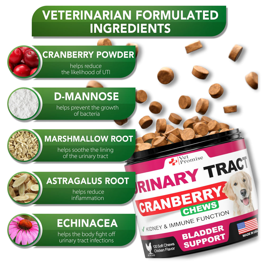 Vet Promise Dog UTI Chews cranberry ingredient close-up for natural support