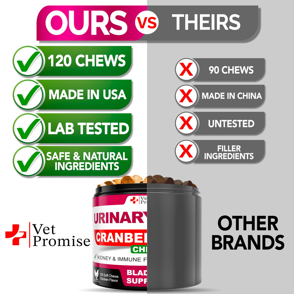 Vet Promise Dog UTI Chews daily dosing image for routine care