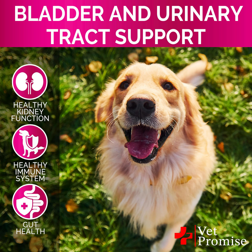 Vet Promise Dog UTI Chews made in USA label and vet-formulated quality