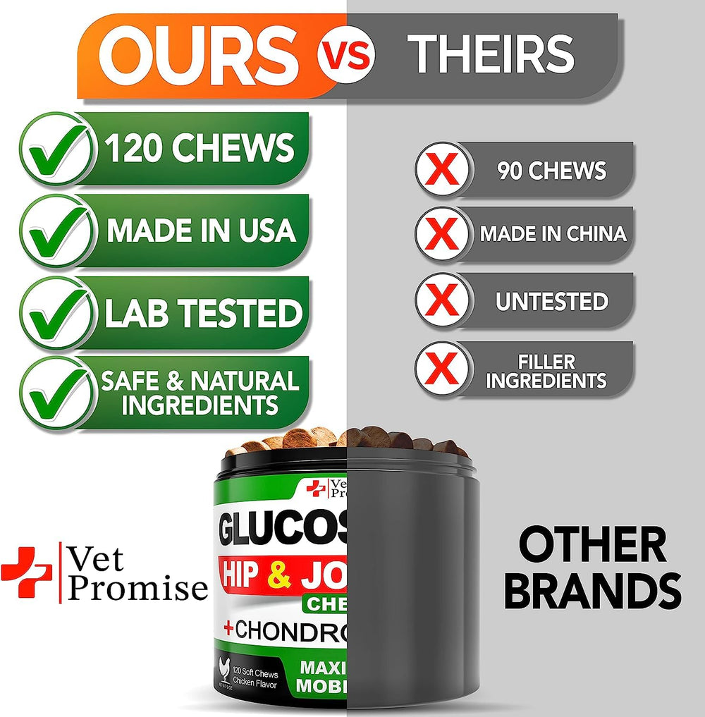 Vet Promise Glucosamine for Dogs chews dog in motion indicating improved mobility