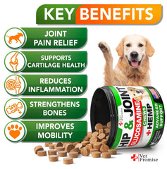 Vet Promise ingredients panel highlights glucosamine, chondroitin and hemp oil for joints