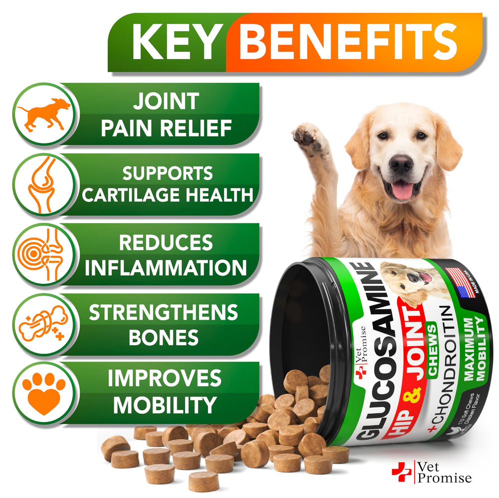 Vet Promise joint chews for dogs bowl serving suggests comfortable movement after meals.