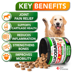 Vet Promise joint chews for dogs bowl serving suggests comfortable movement after meals.