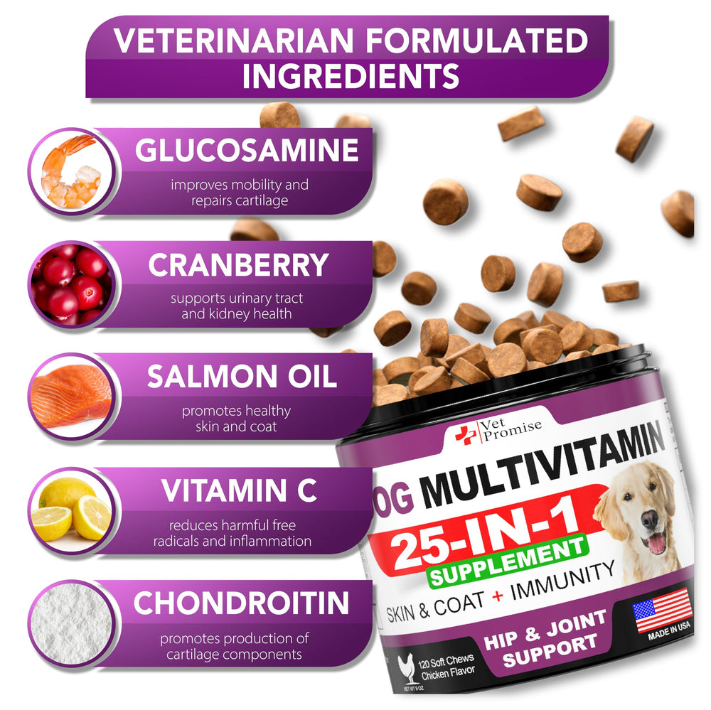 Vet Promise joint-support chew aids hip mobility for an active senior or playful puppy.