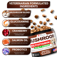 Vet Promise Lions Mane dogs supplement supports cognitive function and energy.