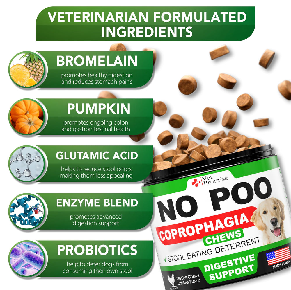 Dog enjoying Vet Promise No Poo Chews, illustrating pleasant daily use.