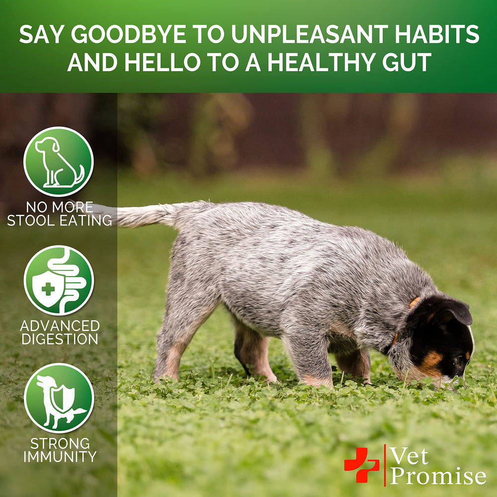 Vet Promise No Poo Chews packaging emphasizes USA-made vet formulation.