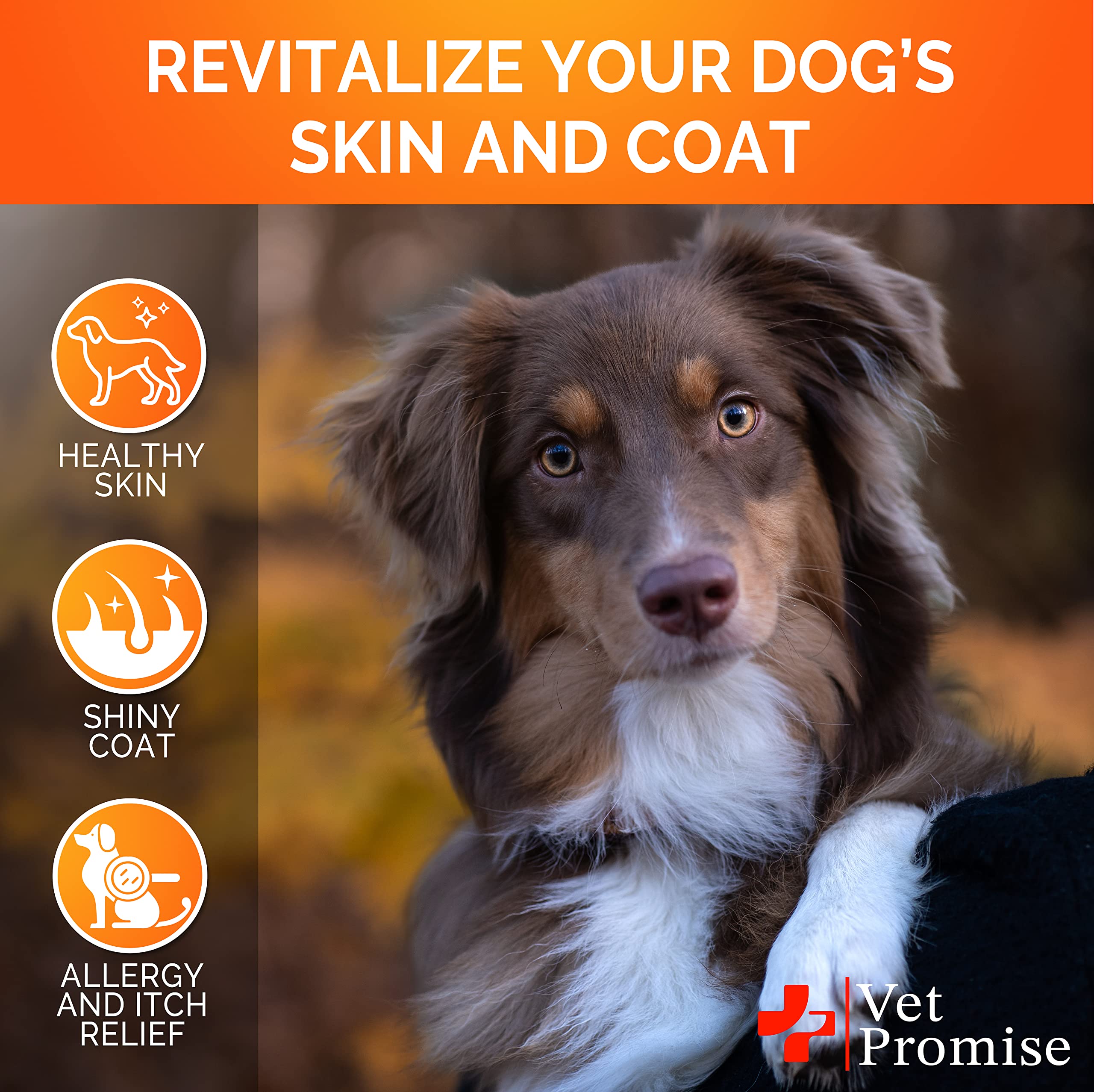Vet Promise Omega-3 dogs healthy coat glow highlights nourished skin and fur.