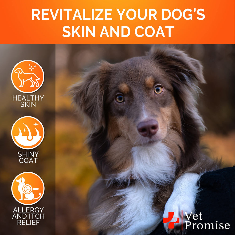 Vet Promise Omega-3 dogs healthy coat glow highlights nourished skin and fur.
