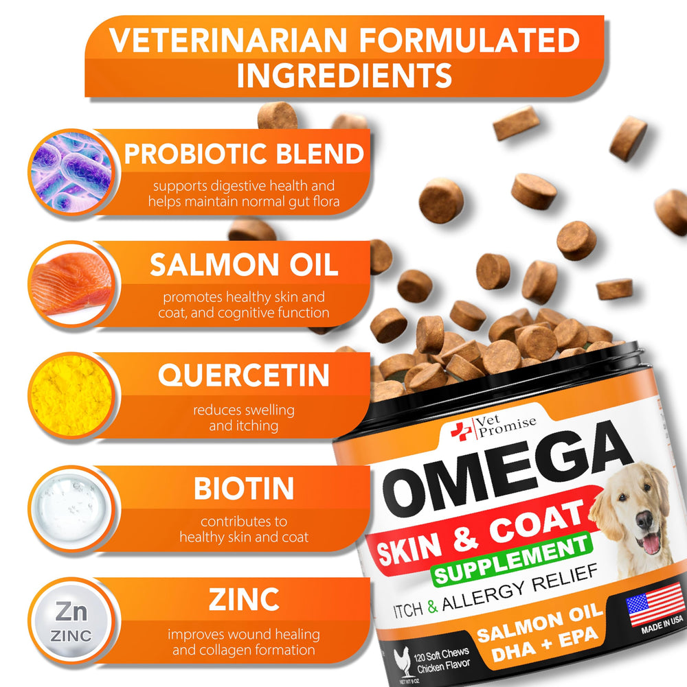 Vet Promise Omega-3 dogs soft treats pack demonstrates convenient daily skin support.