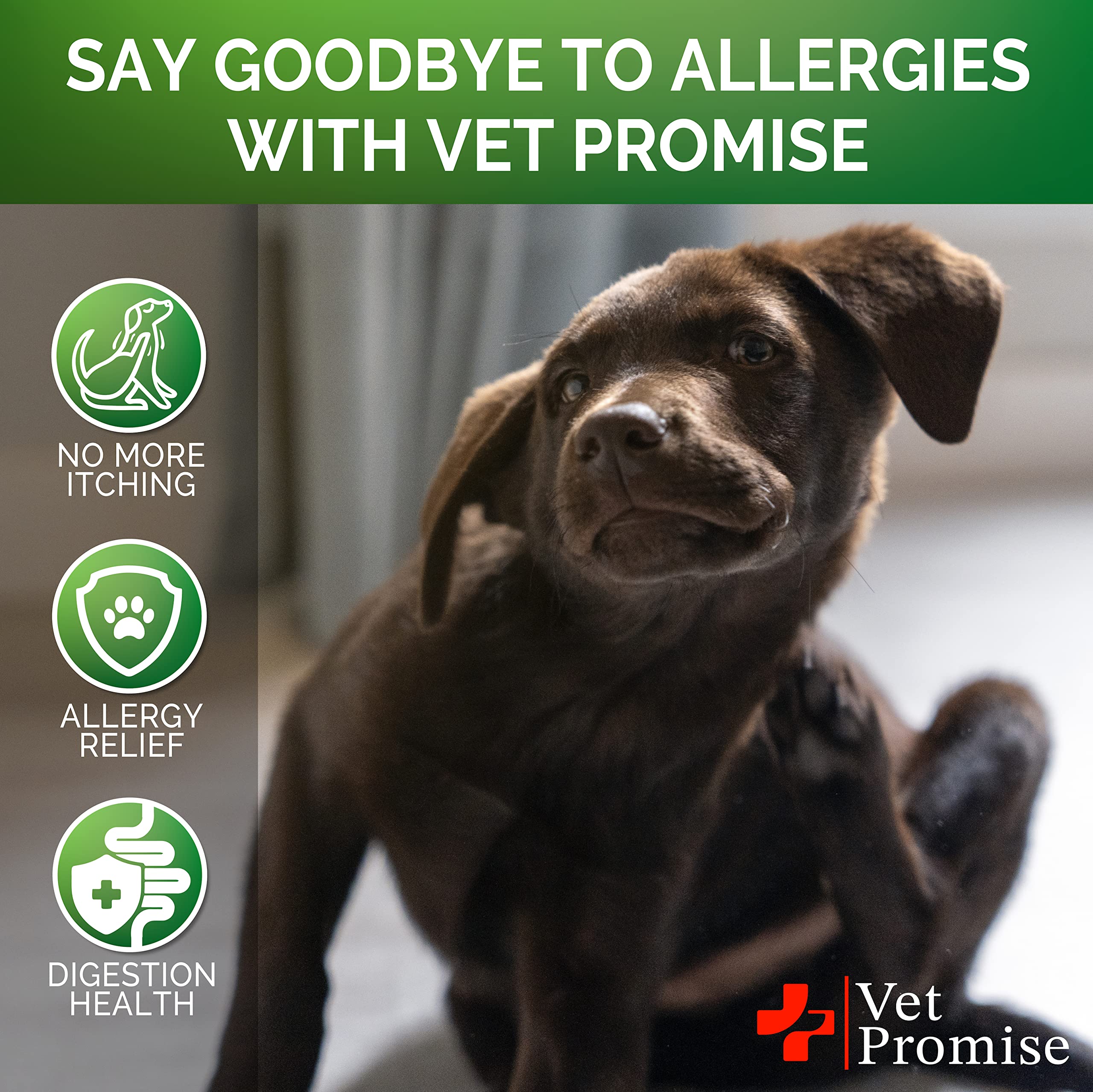 Vet Promise probiotics and colostrum highlight immune and gut support.