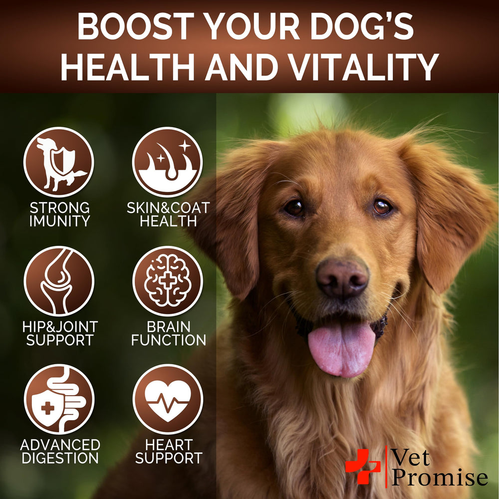Vet Promise 6-strain probiotic blend supports gut balance in dogs.