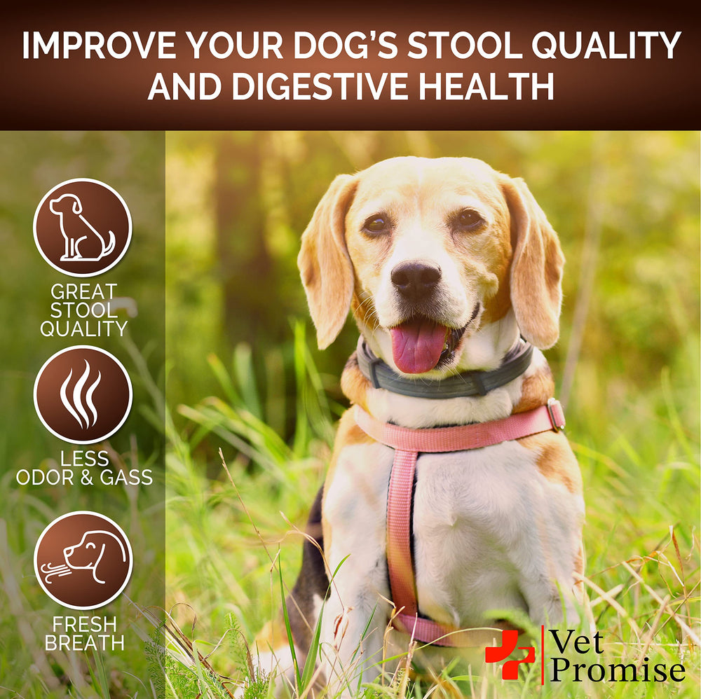 Vet Promise Super Poop Probiotics serving dish with daily chew.