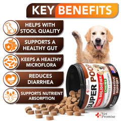 Close-up of Vet Promise Super Poop Probiotics dog chews supporting gut balance.