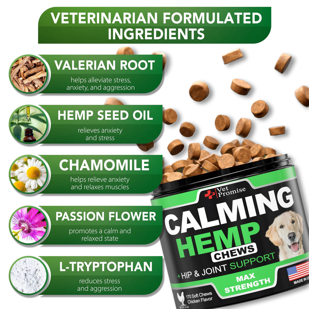 Vet Promise treat jar dog image showcases comforting flavor and easy dosing for busy owners.