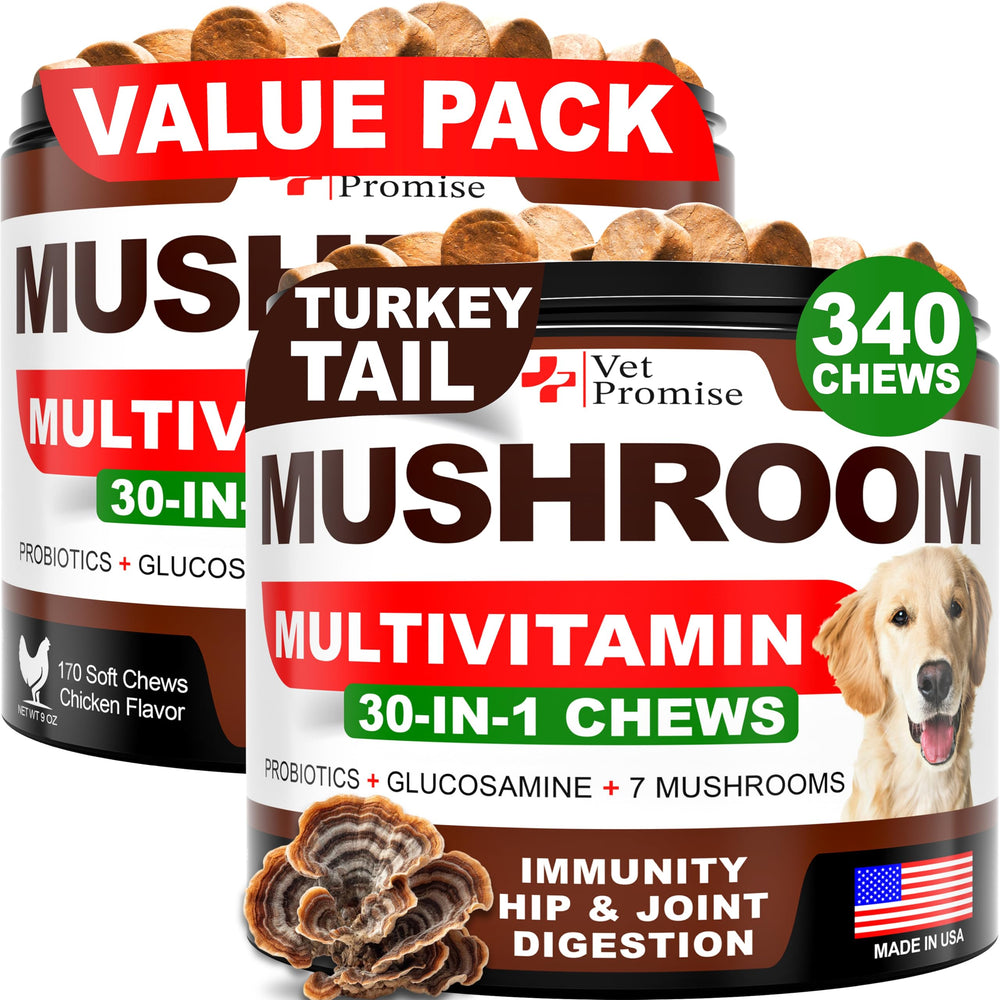 Vet Promise Turkey Tail dog chews bottle suggests potential immune support for dogs.
