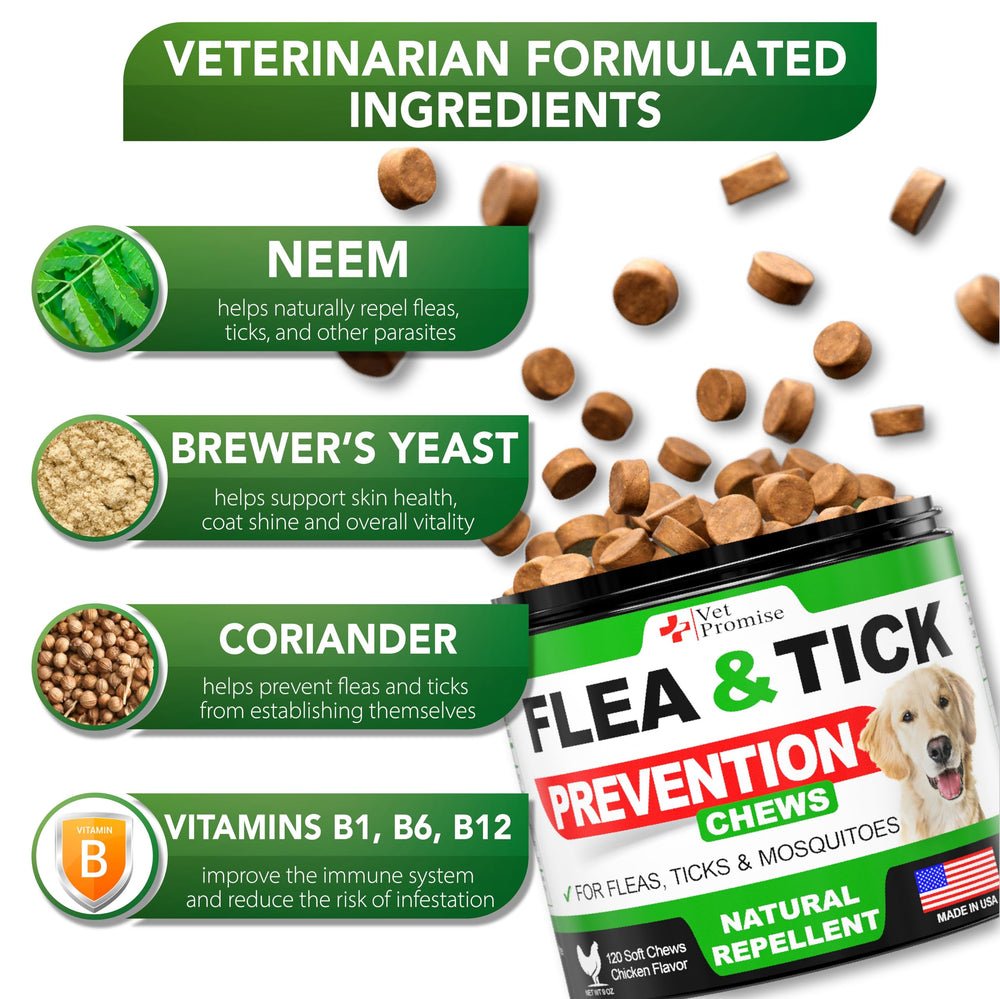 Vet Promise two-pack box demonstrates value and convenience for ongoing flea and tick prevention.