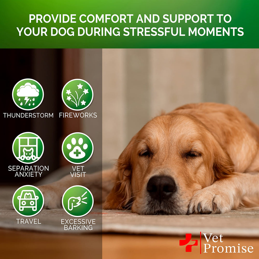 Vet Promise vet-formulated label signals trusted quality for canine calming.