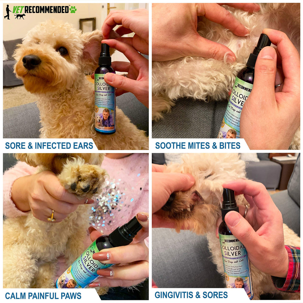 Vet Recommended Colloidal Silver Spray dog application for quick hot spot relief