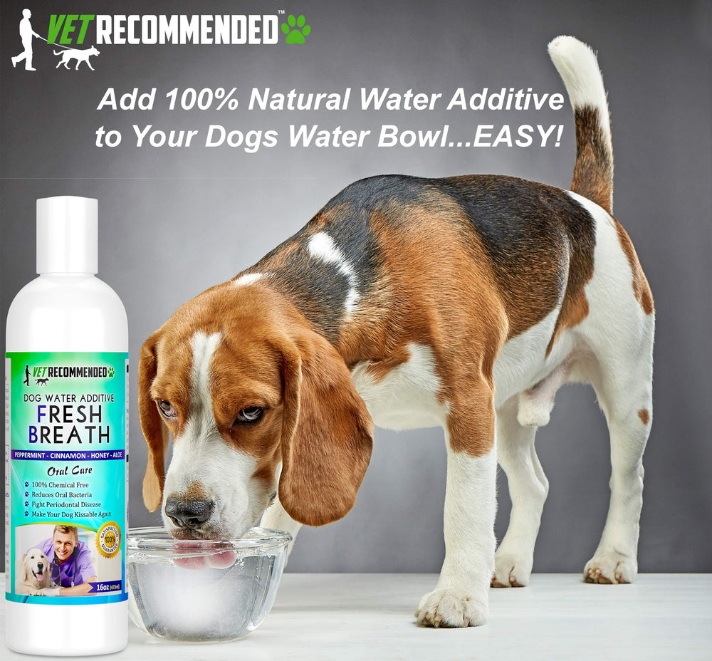 Dog drinking water with Vet Recommended additive enhancing daily dental care