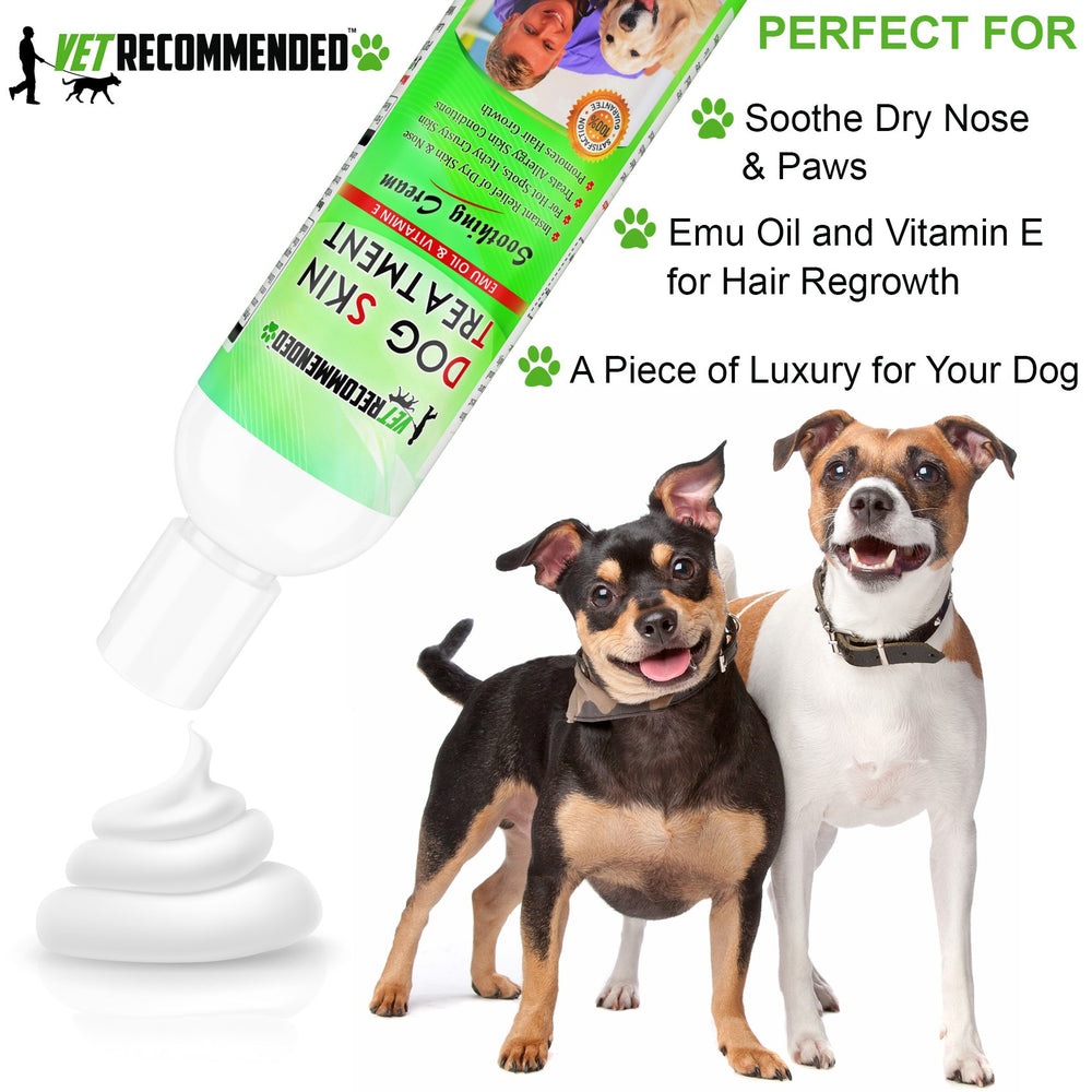 Vet Recommended dry-nose relief on dog's nose and paw area